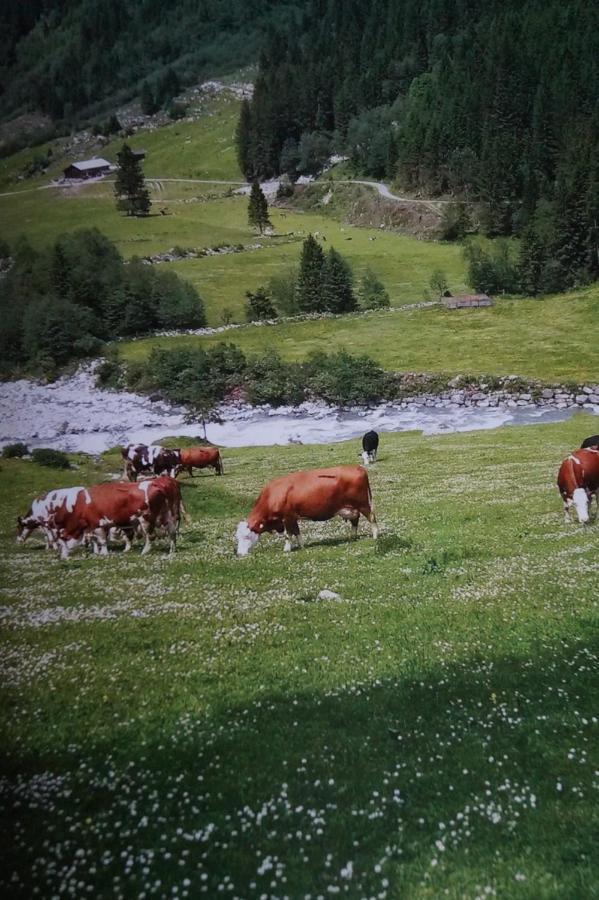 Krandlhof Lägenhet Zell am Ziller Exteriör bild