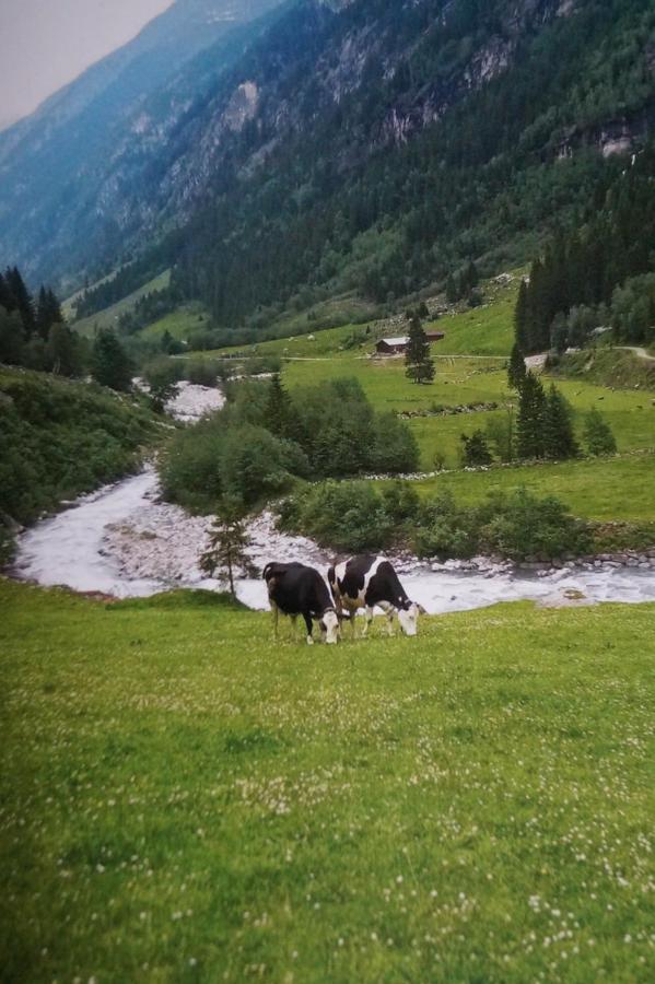 Krandlhof Lägenhet Zell am Ziller Exteriör bild